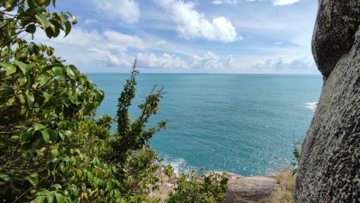 Scenic ocean viewpoint surrounded by foliage