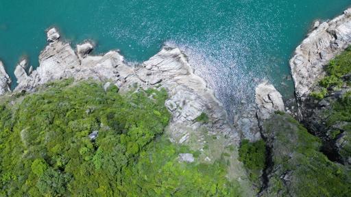 Aerial view of a rocky coastline with lush greenery