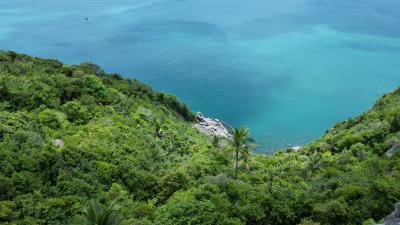 Aerial view of a lush coastline with turquoise sea waters