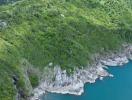 Aerial view of a coastal area with lush greenery and cliffs by the sea