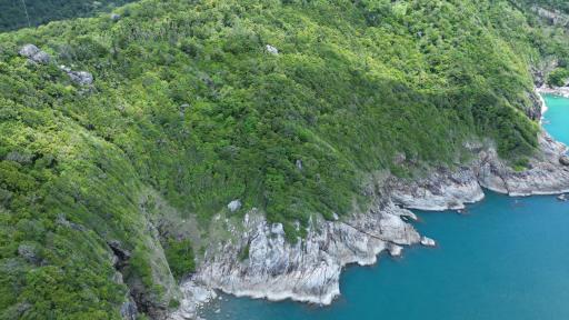 Aerial view of a coastal area with lush greenery and cliffs by the sea