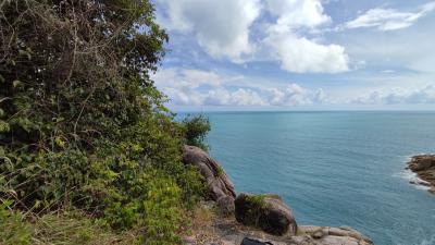 Scenic seascape view from cliffside with lush green foliage and clear blue sky