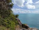 Scenic seascape view from cliffside with lush green foliage and clear blue sky