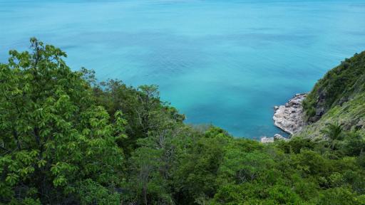 Aerial view of a coastline with lush greenery and turquoise waters