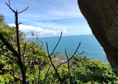 Ocean view through the foliage from a coastal property