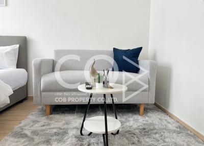 Modern living room with comfortable sofa and stylish decor