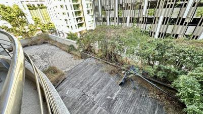 Unique Duplex Huge Terrace