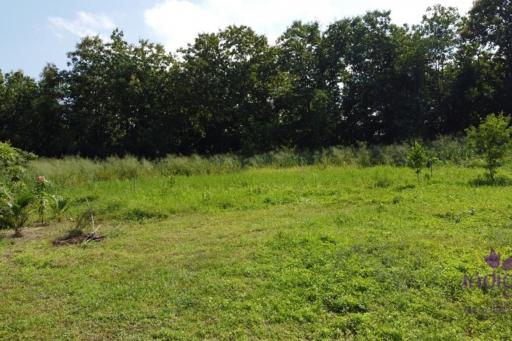 Land for sale in a peaceful countryside setting near Mae Jo University. Lots of trees!