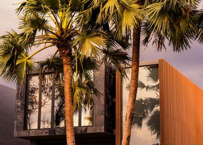 Modern building exterior with large glass windows and wooden facade surrounded by palm trees