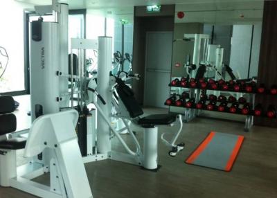 Modern gym with exercise equipment and weights