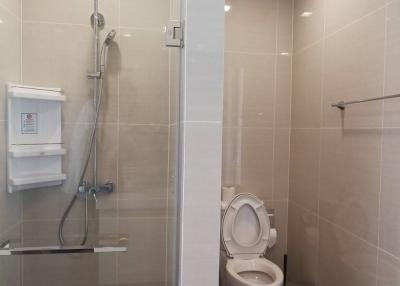 Modern bathroom with shower and toilet