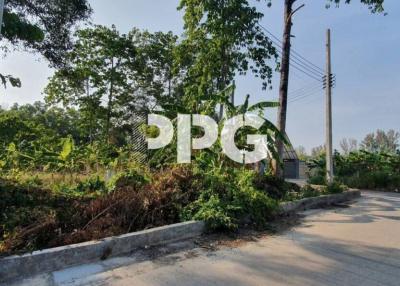 PREMIUM LOCATION LAND IN BANG TAO WITH EASY ACCESS