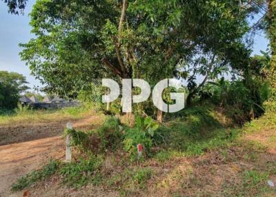 PREMIUM LOCATION LAND IN BANG TAO WITH EASY ACCESS
