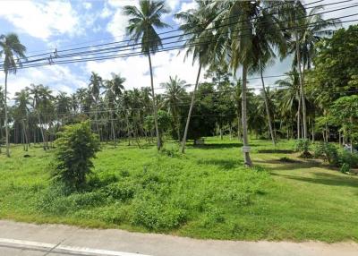 Garden View Land in Taling Ngam, Koh Samui. Close to Thong Krut Pier - 920121001-1877