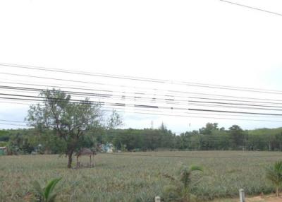GREAT OPPORTUNITY LAND PLOT FOR DEVELOPMENT IN MAI KHAO