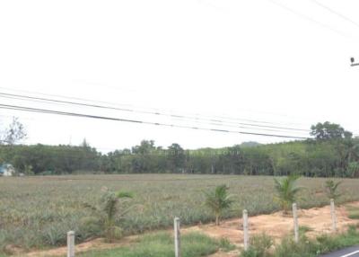 GREAT OPPORTUNITY LAND PLOT FOR DEVELOPMENT IN MAI KHAO