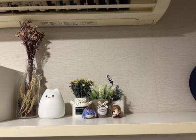 Decorative shelf with small trinkets and artificial plants