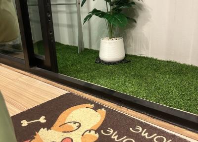 Cozy home entrance with welcome mat and potted plant