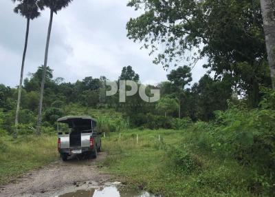 AMAZING SEA VIEW LAND FOR SALE IN THE PRIME LOCATION LAYAN