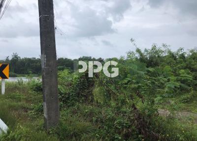 AMAZING SEA VIEW LAND FOR SALE IN THE PRIME LOCATION LAYAN