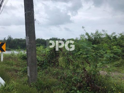 AMAZING SEA VIEW LAND FOR SALE IN THE PRIME LOCATION LAYAN