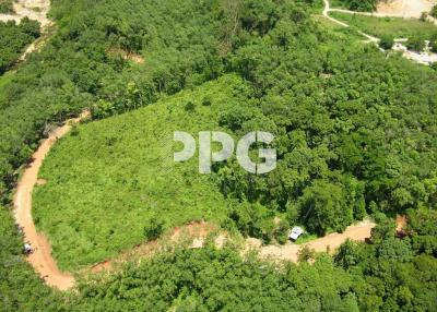 GREAT OPPORTUNITY LARGE LAND PLOT ON  THE HILL IN CHERNGTALAY
