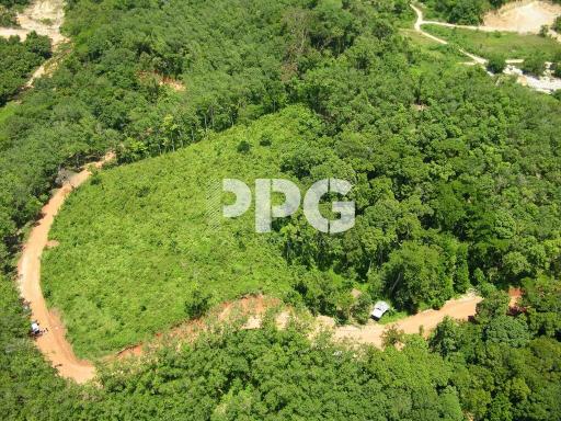 GREAT OPPORTUNITY LARGE LAND PLOT ON  THE HILL IN CHERNGTALAY