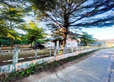 Suburban house with a large tree in the front yard, fence, and clear skies