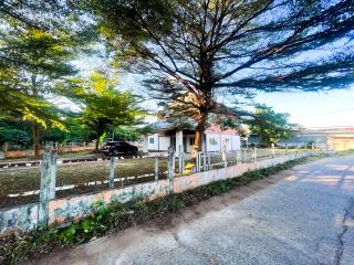 Suburban house with a large tree in the front yard, fence, and clear skies