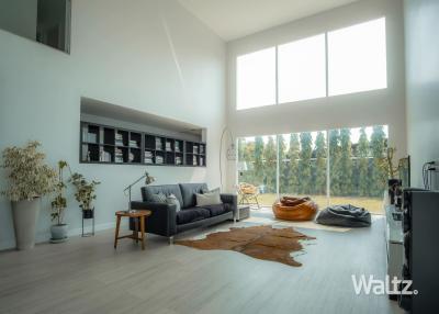 Modern spacious living room with natural light and forest view