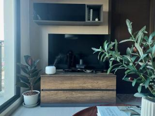 Modern living room with large TV and decorative plants