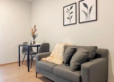 Cozy modern living room interior with sofa and artwork