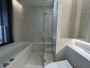 Modern bathroom with walk-in shower and bathtub