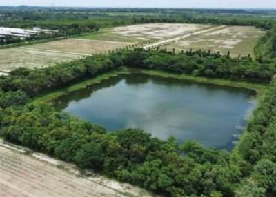 Aerial view of a large pond surrounded by lush greenery