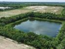 Aerial view of a large pond surrounded by lush greenery