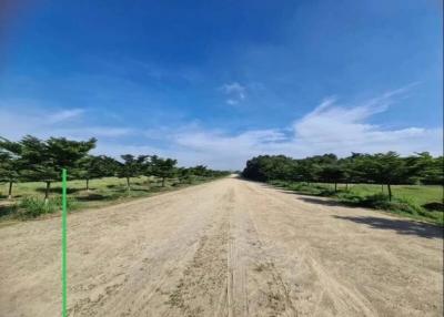 Dirt road with greenery on either side under a blue sky