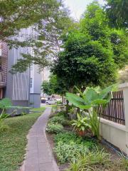 Lush garden pathway leading to modern building