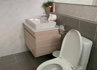Modern clean bathroom with toilet and sink