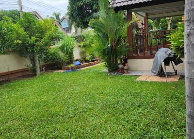 Lush green garden with tropical plants and lawn in a residential property