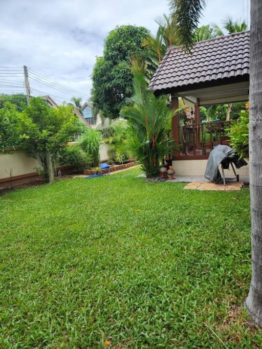 Lush green garden with tropical plants and lawn in a residential property