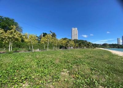 Lush green outdoor area near a beach with high-rise buildings in the background under a clear blue sky