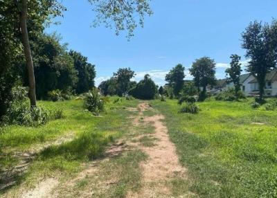 Empty lot with grass and pathway under a clear sky