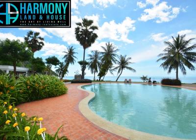 Outdoor swimming pool with sea view surrounded by palm trees and gardens