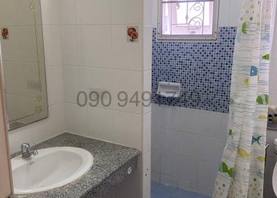 Modern bathroom interior with shower curtain and tiled walls