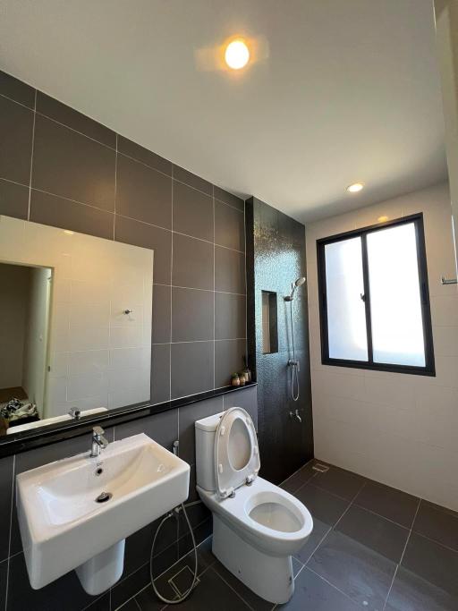 Modern bathroom with natural light