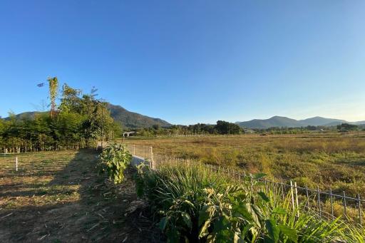 A nice plot with Mountain View for sale in Mae On