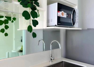 Modern white kitchen with stainless steel sink, microwave, and green plant