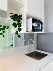 Modern white kitchen with stainless steel sink, microwave, and green plant