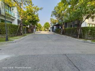 Paved street inside residential area with green trees and modern homes on a sunny day