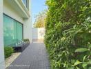 Paved pathway leading to the entrance of a modern house with garden